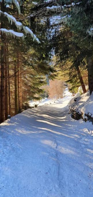 Residenza Sofia - Ponte Di Legno Fraz. Pezzo Villa Dış mekan fotoğraf